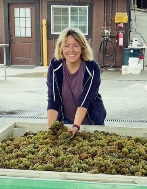 Montse Rees harvesting grapes